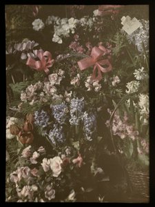 Bouquet of Flowers with Ribbon, Basket, and Card