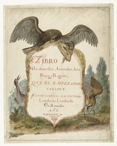 Cartouche Held by a Stone Eagle, Heron, and Bittern (Lombard Album) by Anonymous