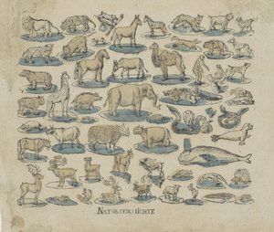 Animals (title on object: Natural History) by Anonymous