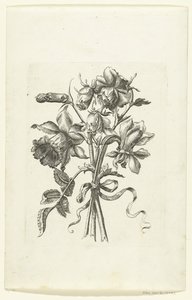 Three Flowers, Including a Daffodil and a Carnation Novae Florum Icones (series title) by Anonymous