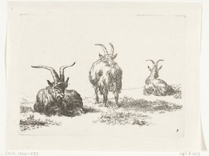 Three Goats