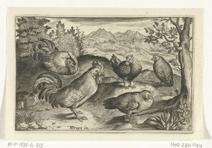 Three Hens and Two Roosters (Birds and Insects series)
