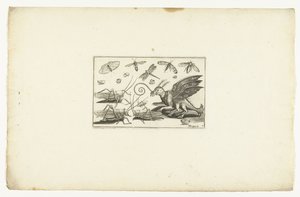 A Fantastic Winged Beast and Grasshoppers Volatilium varii generis (...) (series title) by Anonymous