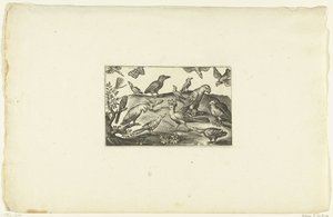 A Hoopoe with Various Birds Volatilium varii generis (...) (series title) by Anonymous