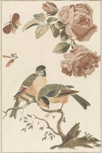 A Blue Tit and a Great Tit on a Branch, Two Roses and a Butterfly