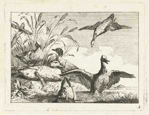 Ducks by a Pond