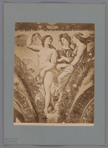 Photoreproduction of the Fresco Amor and Psyche in the Loggia di Psiche, Villa Farnesina, Rome by Anonymous