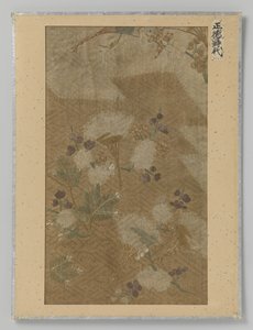 Textile Fragment