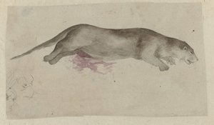 Dead Rodent by Anonymous