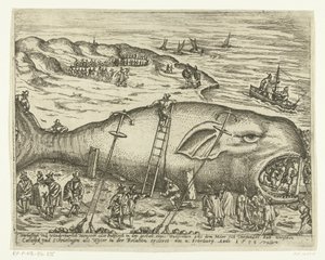 Whale Stranded at Berckhey, 1598 by Anonymous