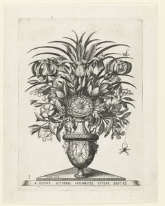 Grotesque Vase with Two Mascarons on Either Side of a Bucentaur (series title: Vases with Flowers) by Anonymous