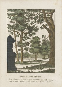 Haagse Bos by Anonymous