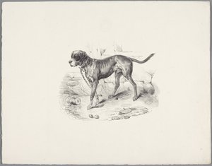 Dog on a Chain