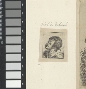 Head of a Boy by Anonymous