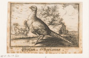 Landscape with Pheasant by Anonymous