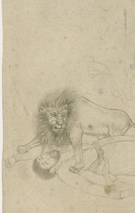 Lion Attacking a Man