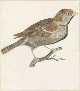 Mouse on a Branch to the Right by Anonymous