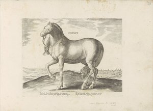 Horse from Sicily by Anonymous