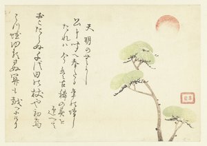 Pine Trees by Anonymous