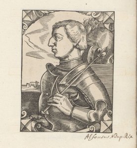 Portrait of Alfonso V of Aragon