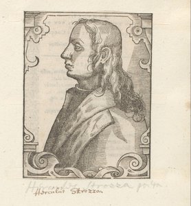 Portrait of Ercole Strozzi by Anonymous