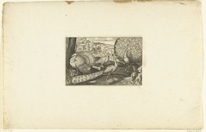 Proud Peacock, Walking Peacock, and Turkey by Anonymous