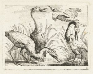 Herons by a Pond