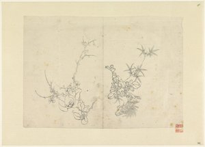 Sketch Sheet with Wild Rose and a Chrysanthemum by Anonymous
