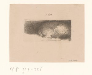 Sleeping Puppy by Anonymous