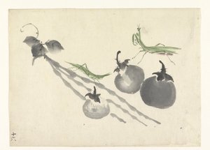 Grasshoppers by three persimmons