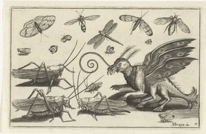 Grasshoppers and Fantasy Creature with Wings and Webbed Feet (Birds and Insects) by Anonymous