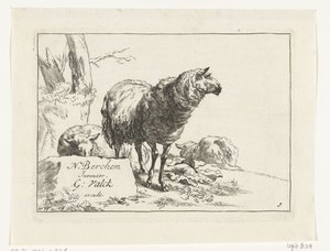 Standing Sheep and Two Lying Sheep (Goats and Sheep after N.P. Berchem) by Anonymous