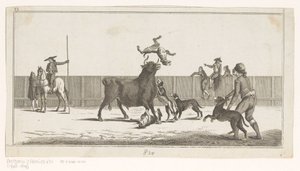Bull Attacked by Dogs