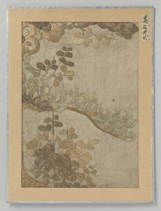Textile Fragment