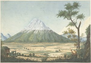 Tropical Landscape with Mountains