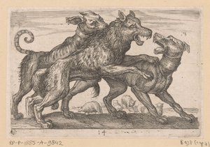 Two Dogs Fighting a Wolf