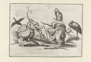 Two Monsters with Cat, Goose, and Stork by Anonymous