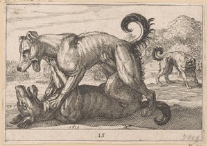 Two Mating and Two Fighting Dogs (Fighting Animals) by Anonymous