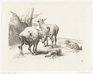 Two Standing Goats and a Young Goat (Goats and Sheep after N.P. Berchem) by Anonymous
