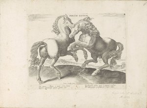 Two fighting horses by Anonymous