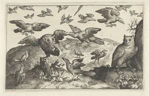 Owl with Prey Attacked by Other Birds (Birds and Insects series)
