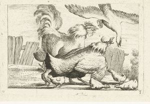 Falcon Attacking a Group of Chickens with Chicks (Inheemse vogels)