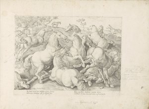 Fighting Horses by Anonymous