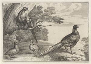 Four Birds by Anonymous