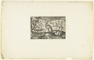 Five Birds (series title)