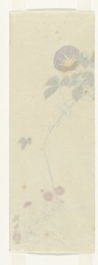 Wind by Anonymous
