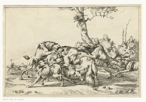 Wolf Attacked by Five Hunting Dogs by Anonymous