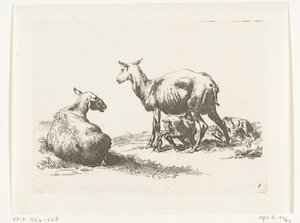 Nursing Sheep with Two Lambs by Anonymous