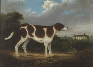A Pointer, Primitive School by Anonymous Anonymous