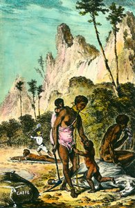 Journey to the Ile de France (present-day Mauritius): The Work of Slaves. Engraving of the 18th century. Private collection by Anonymous Anonymous